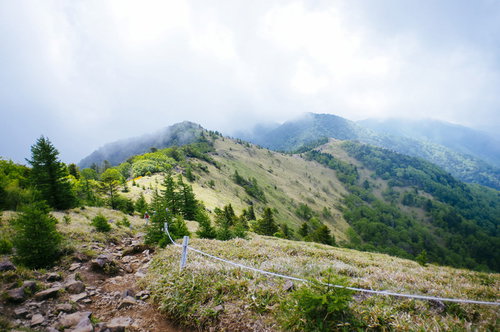 牧歌的な景色が広がる大菩薩嶺の稜線と雲海