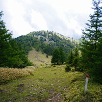 穏やかな道が続く大菩薩嶺の縦走路を進む登山者の景観の写真