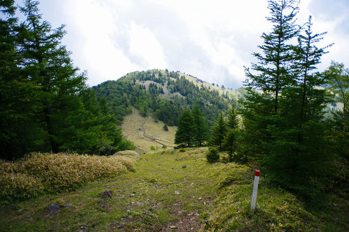穏やかな道が続く大菩薩嶺の縦走路を進む登山者の景観