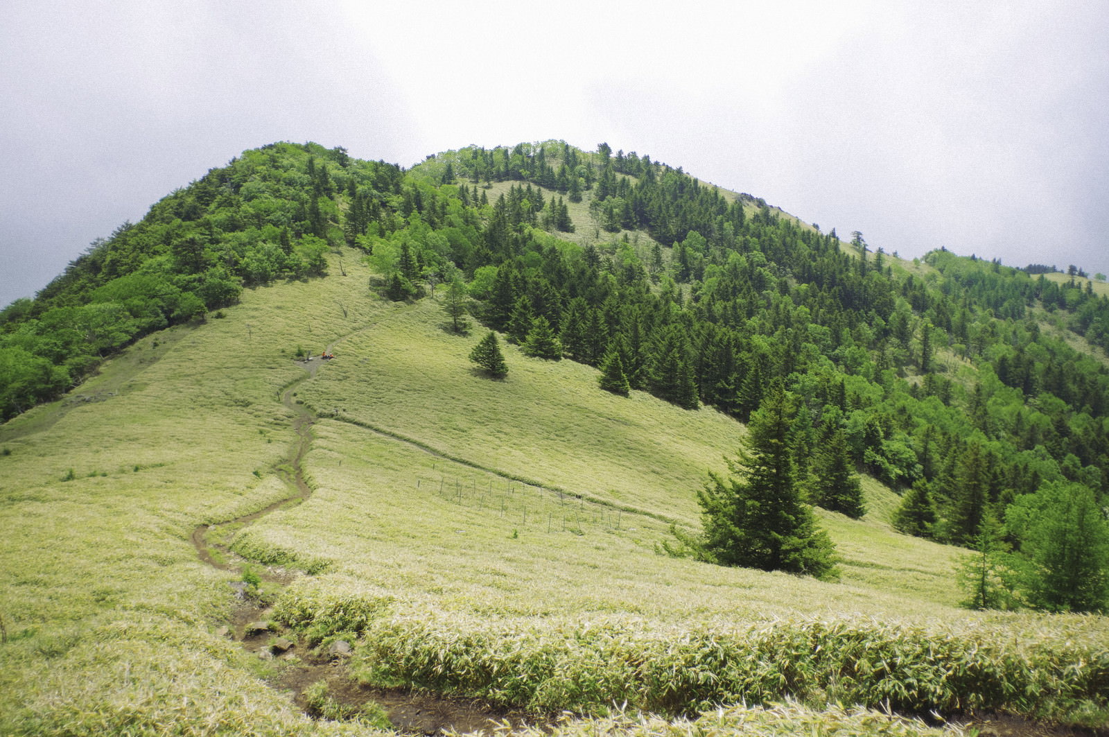 雲に覆われた大菩薩嶺の稜線と登山道が見える山岳風景