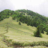 雲をせき止める大菩薩嶺の稜線と登山道の風景の写真