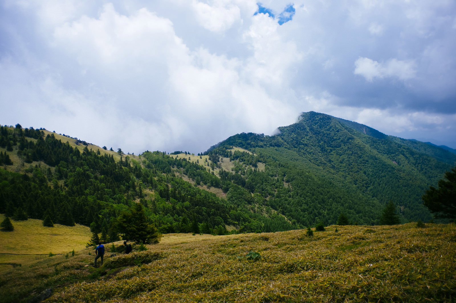 大菩薩嶺の笹原で休憩する登山者と緑の山々の風景