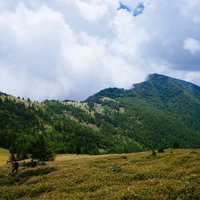 開けた笹原で休む登山者・大菩薩嶺の日本百名山の写真