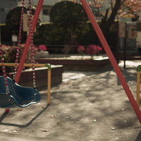 誰もいない公園に置き去られたブランコと静寂の写真