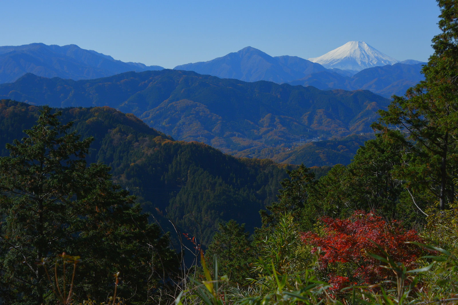 高尾山から見た富士山と紅葉の山並み