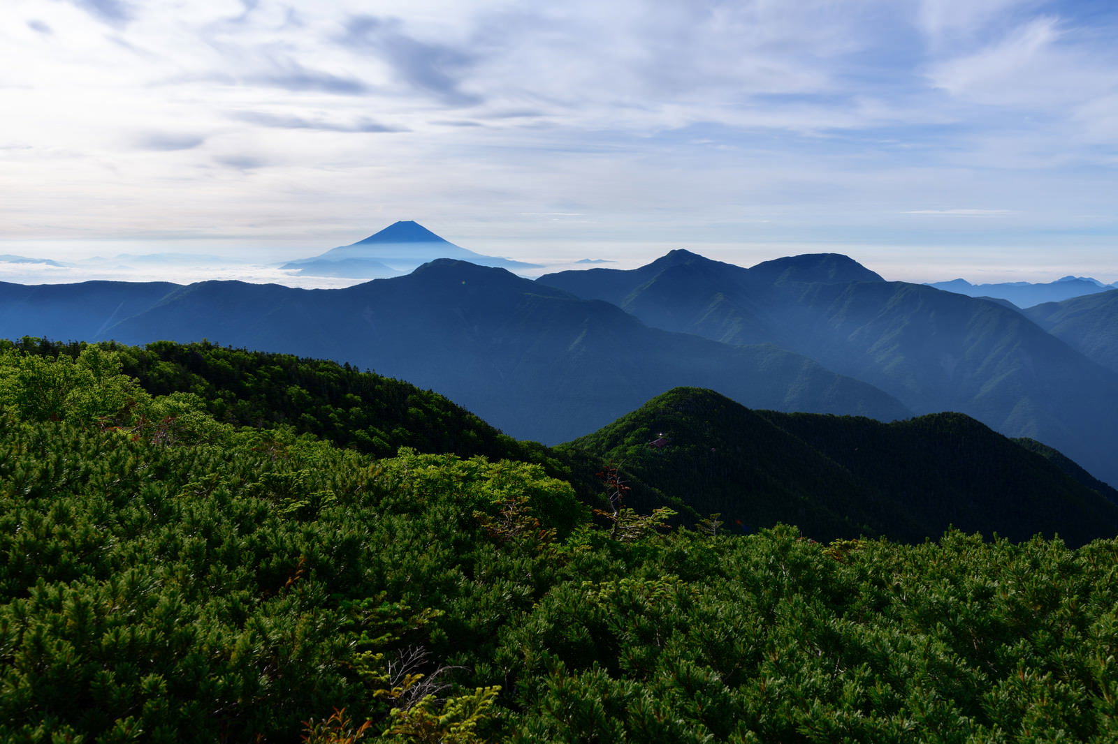 富士見平から望む緑の山稜と遠くに見える富士山のシルエット