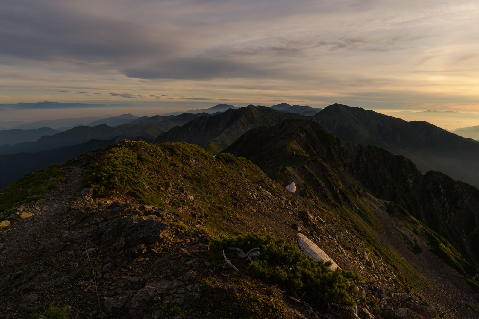 朝焼けの空の下に広がる南アルプス南部の稜線と山々の風景
