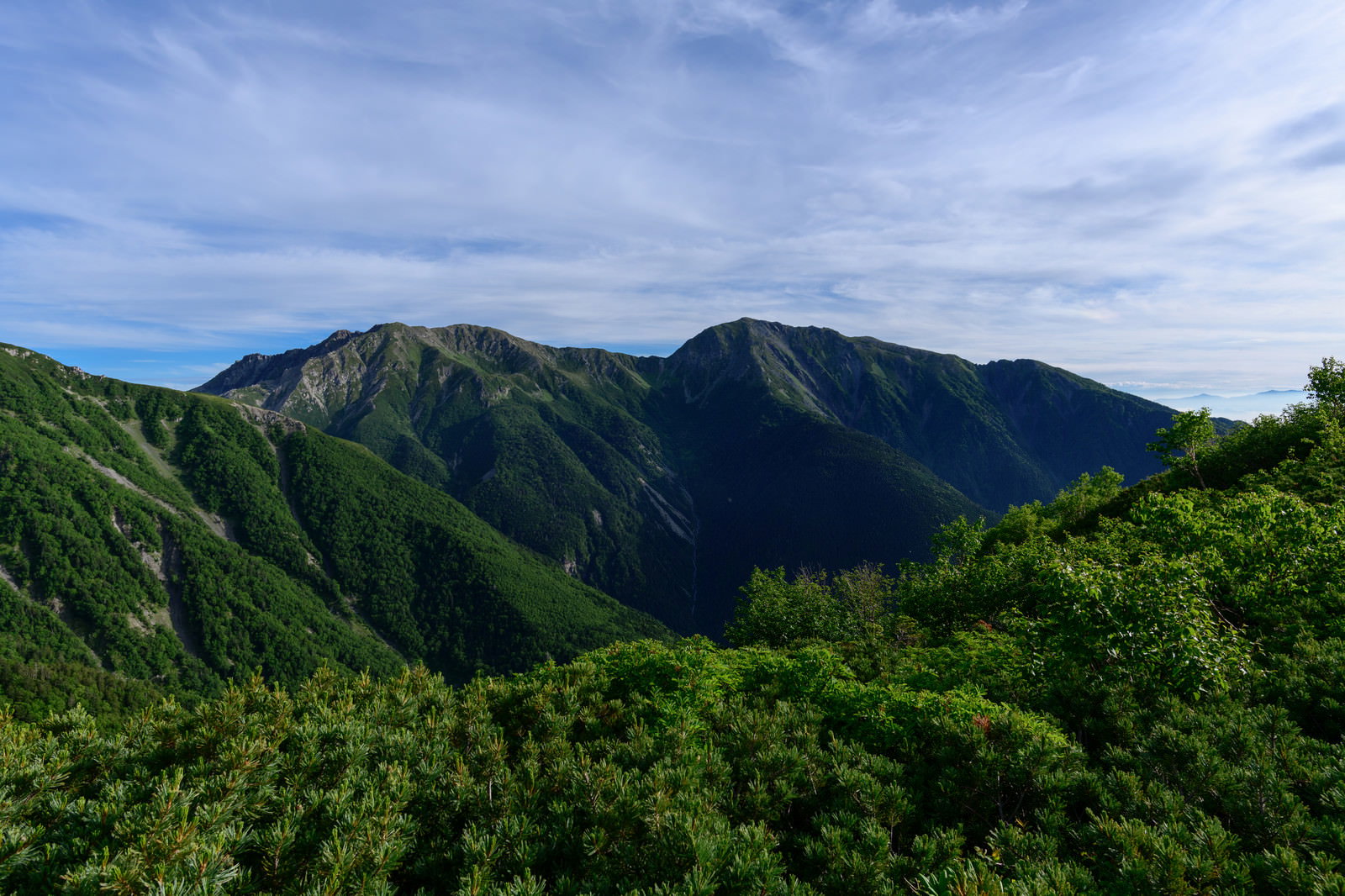 青空の下に広がる南アルプスの山々、赤石岳中腹から見た悪沢岳の緑豊かな山並み