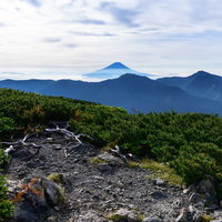 赤石岳富士見平から望む富士山と南アルプスの山々の写真