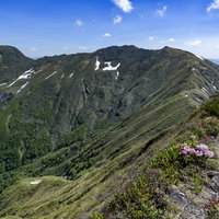 シャクナゲが咲く谷川岳の登山道と稜線の春景色の写真