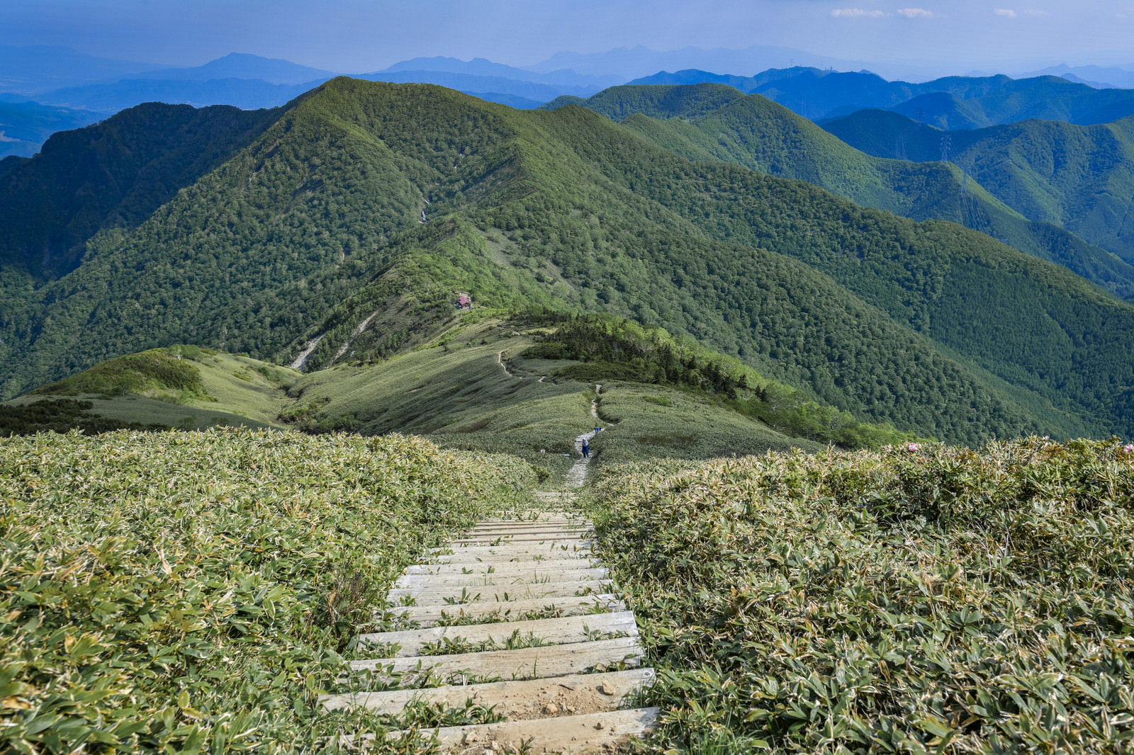 木製の階段が敷かれた登山道と、遠景の山小屋、緑の山々が重なる風景