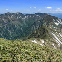 主脈から見る谷川岳の稜線と残雪の峰々と登山道の写真