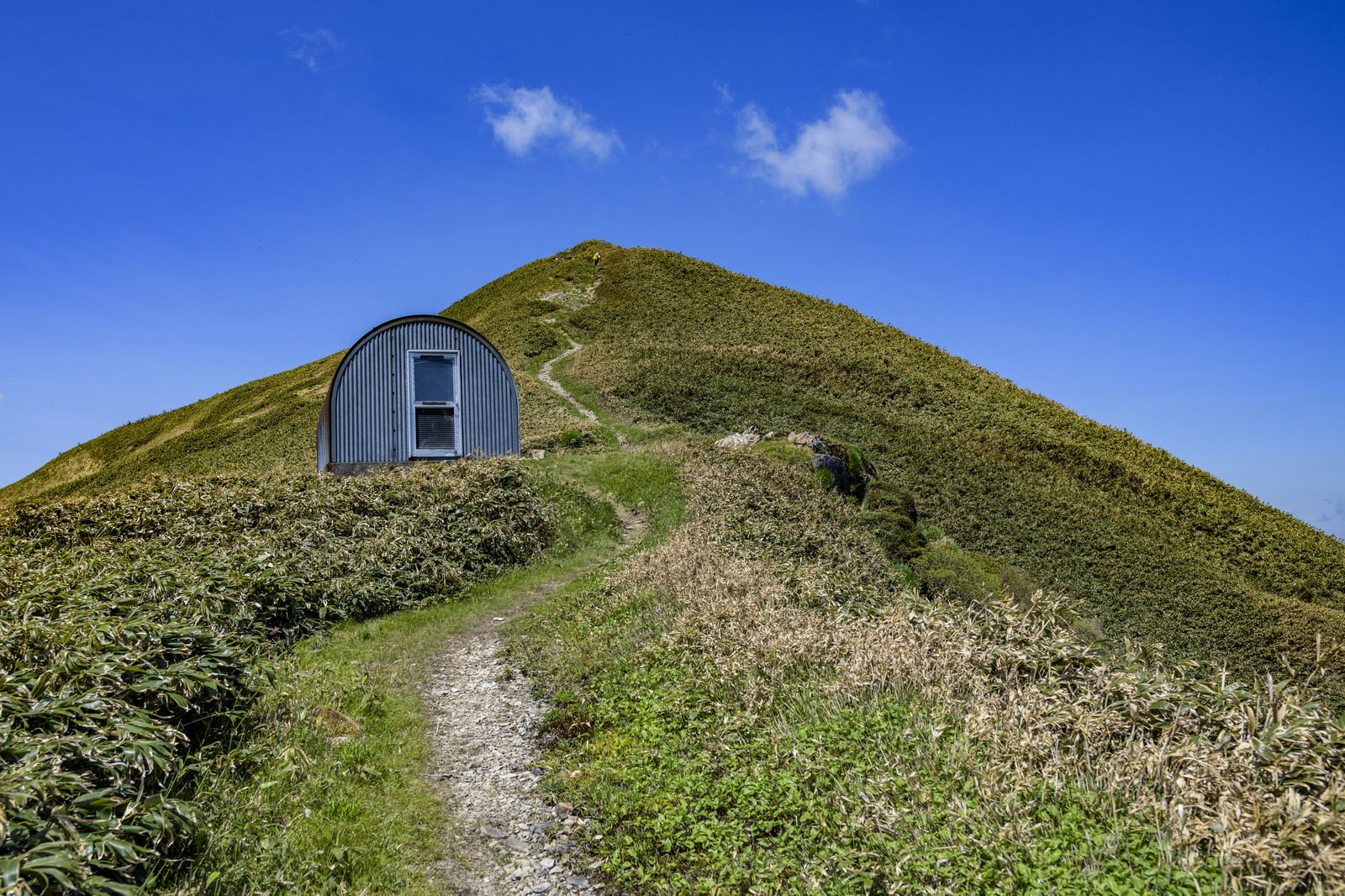 谷川岳の緑の斜面に建つ避難小屋と山頂へ続く登山道