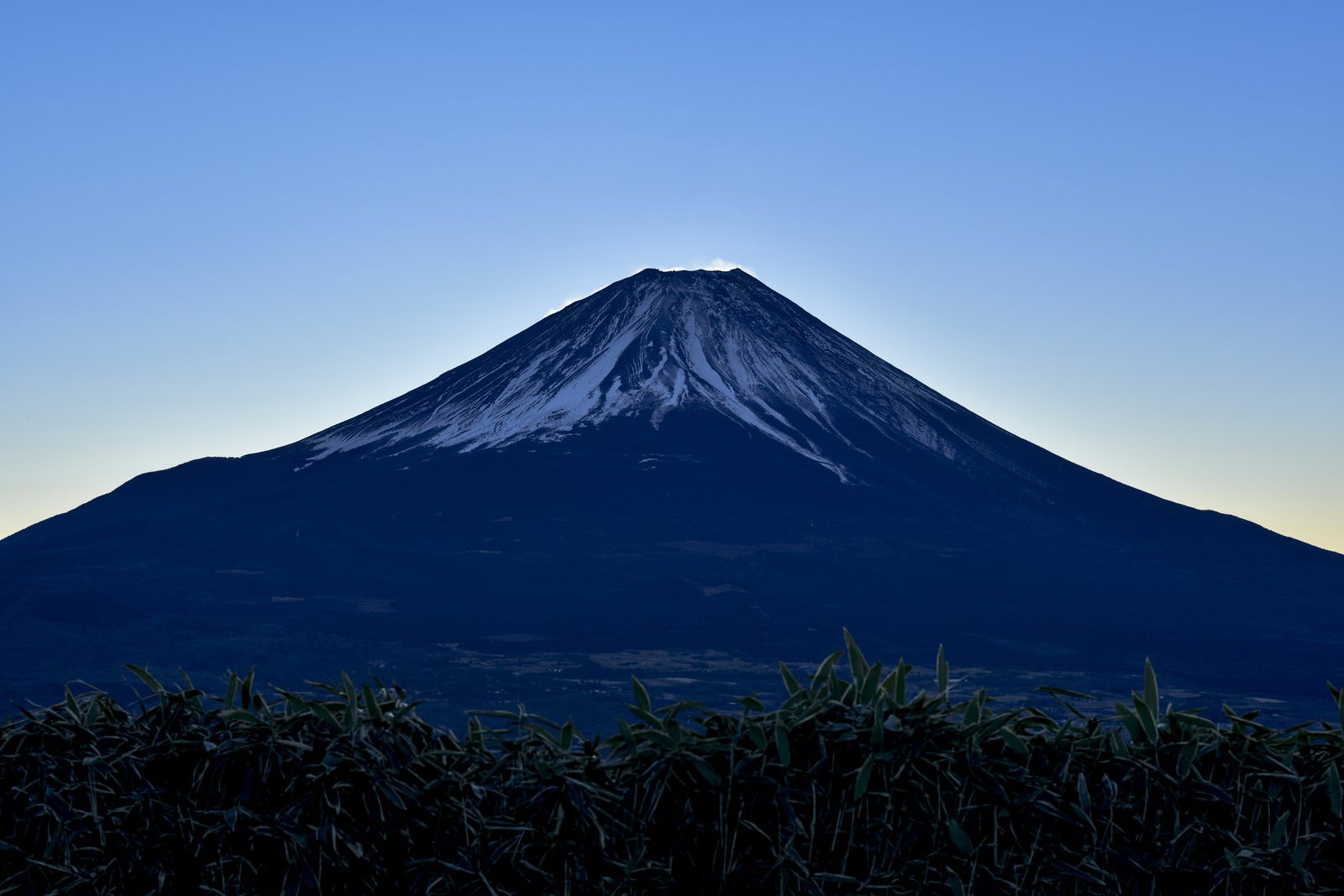 竜ヶ岳から見た夜明けのダイヤモンド富士と笹原の風景
