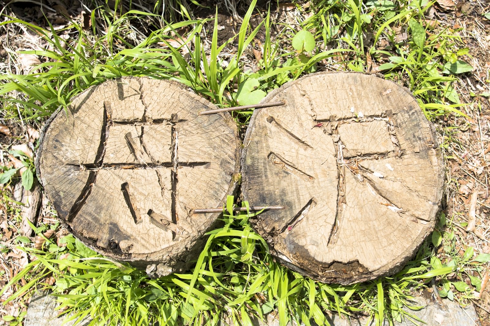 草の生えた地面に置かれた丹沢と彫られた木製の杭