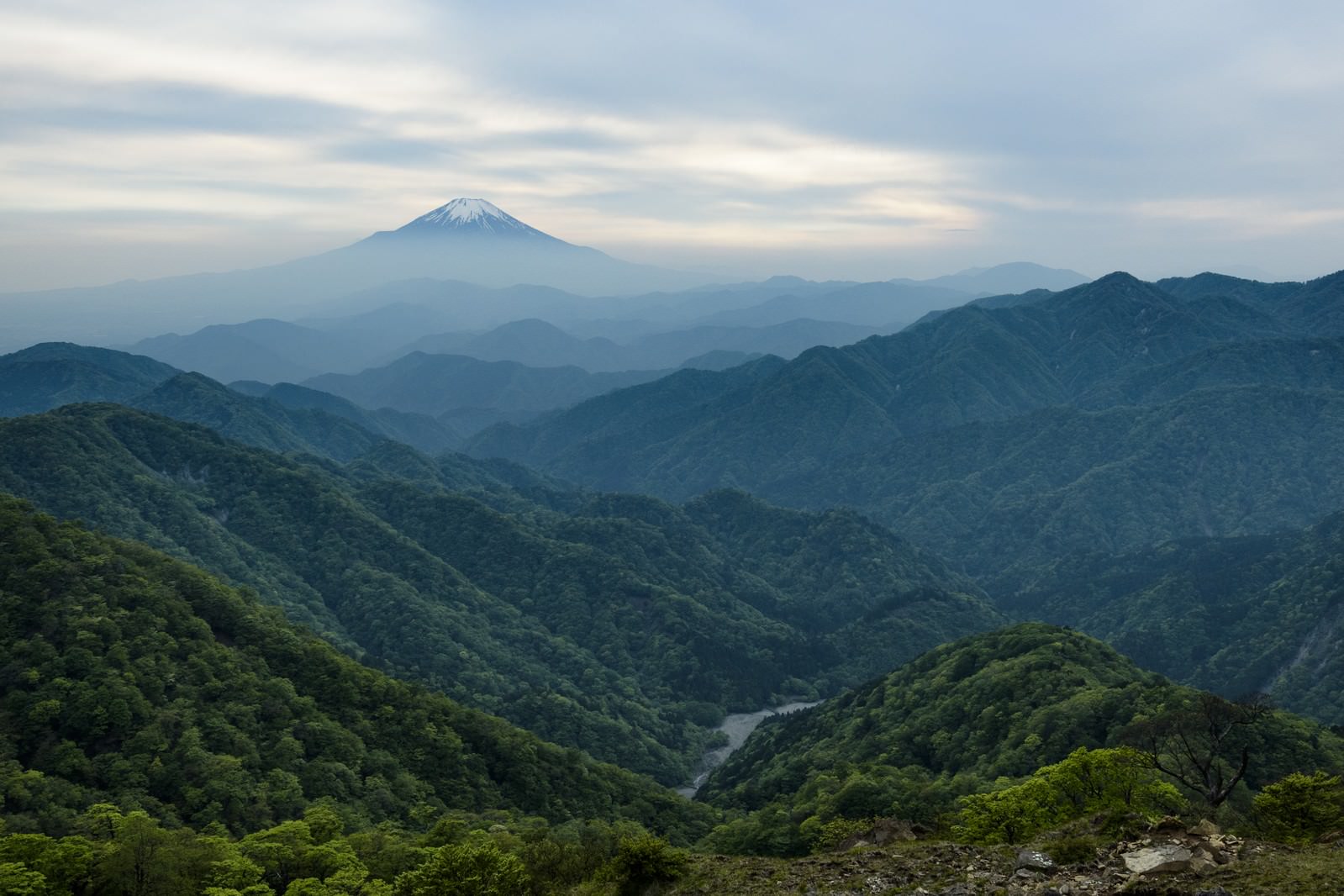 丹沢山地の稜線から望む富士山