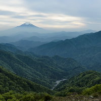 丹沢山地の稜線から望む富士山の写真