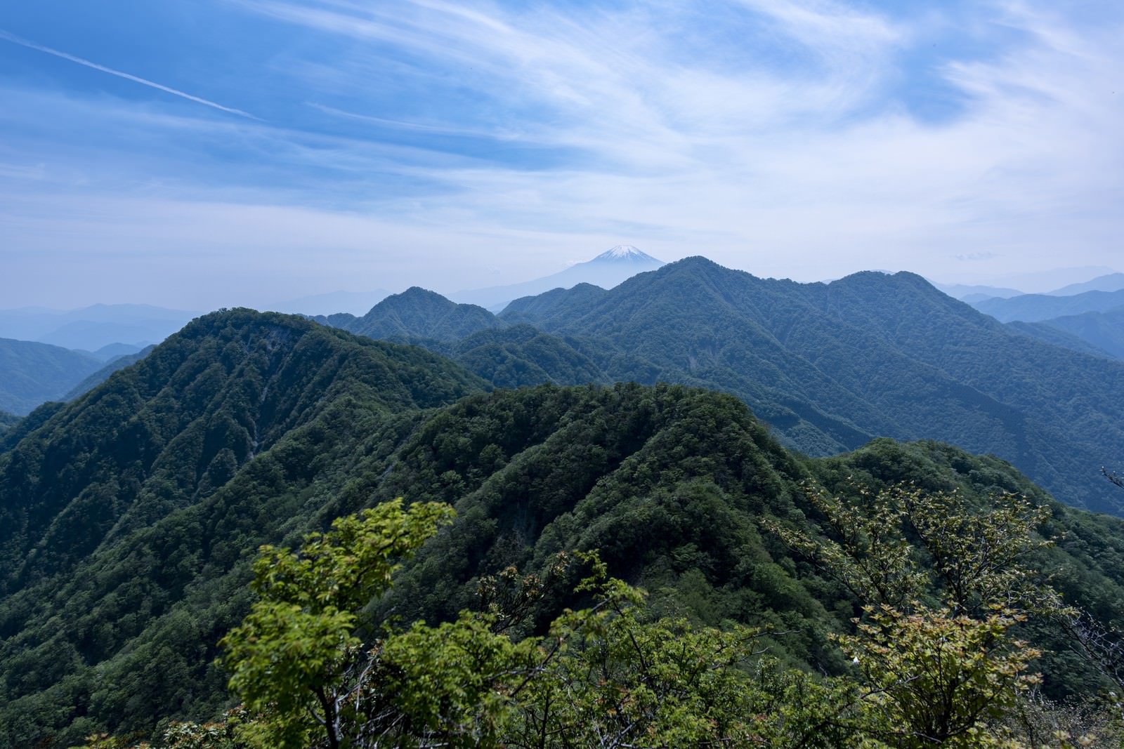 蛭ヶ岳主稜の緑の尾根から見える富士山と青空に浮かぶ雲の山岳風景