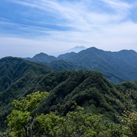 蛭ヶ岳主稜の緑の尾根から望む富士山と霞ヶ岳の写真
