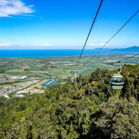 キュランダスカイレールのゴンドラから見る世界遺産の熱帯雨林と街の景色の写真