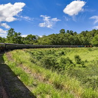 ケアンズのキュランダ鉄道が高原地帯をカーブしながら走る様子の写真