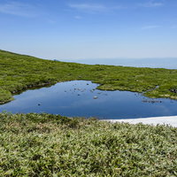 焼石岳のハート形の池と高山植物の水鏡リフレクションの写真