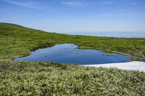 焼石岳のハート形の池と高山植物の水鏡リフレクション