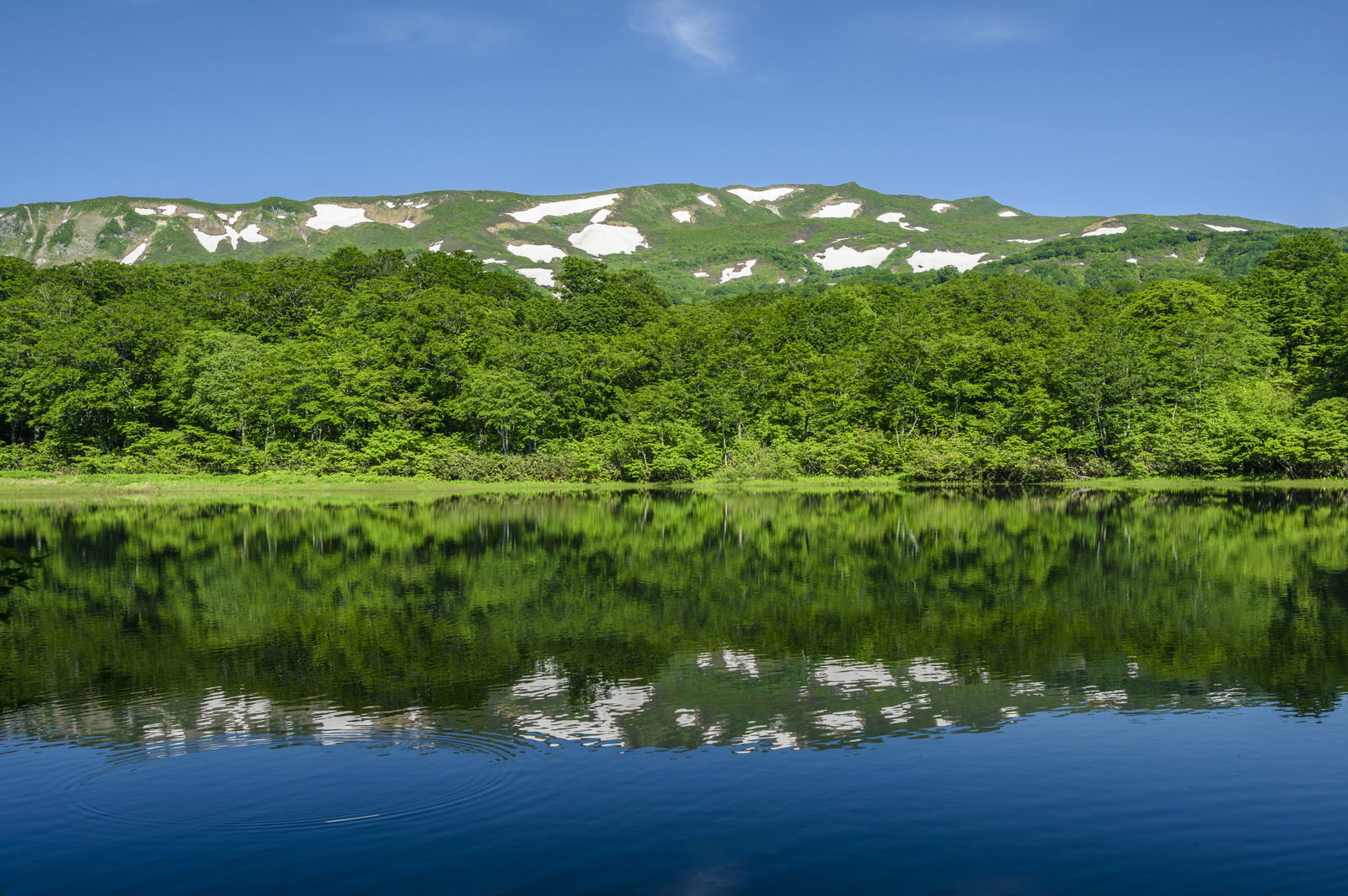 残雪が残る焼石岳と奥羽山脈の新緑が湖面に映り込む初夏の山岳風景