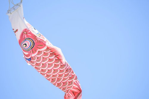 青空に舞う赤い鯉のぼり