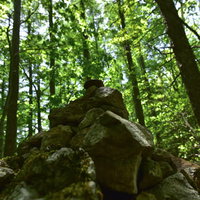 森林から立ち上がる雌阿寒岳の噴煙を下から見上げるの写真