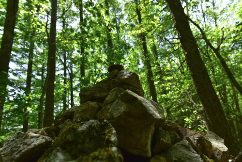 森の中に積み重ねられた岩石のケルン｜登山道の道標