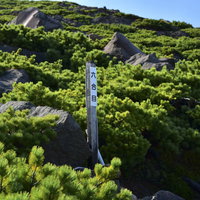 雄阿寒岳の登山道に立つ木製指導標とハイマツ岩場の写真