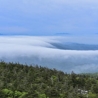蔵王の樹林から見下ろす滝雲と雲海の向こうに浮かぶ山々の写真