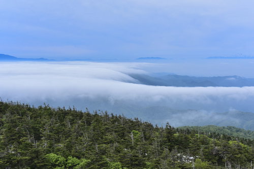 蔵王の樹林から見下ろす滝雲と雲海の向こうに浮かぶ山々