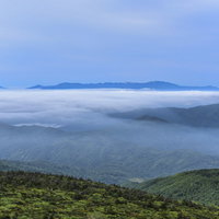 樹林の奥に広がる滝雲と雲海の蔵王山の絶景の写真