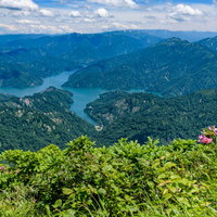 ヒメサユリが自生する山から俯瞰する田子倉湖（田子倉ダム）の写真