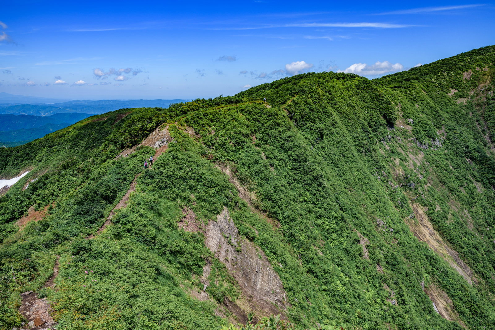 初夏の浅草岳の緑に覆われた急斜面の稜線を歩く登山者と登山道