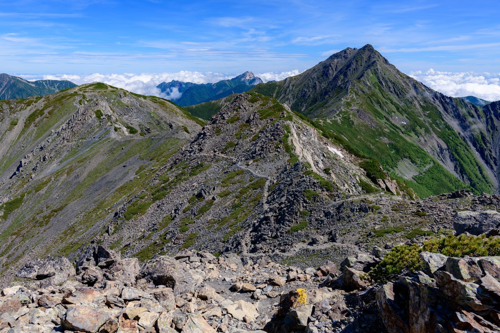 南アルプスの稜線と富士山の遠望