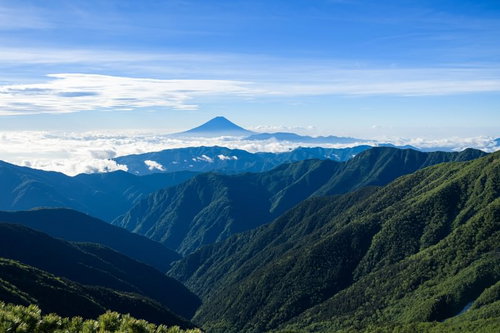 南アルプスの深い森越しに望む富士山の遠景