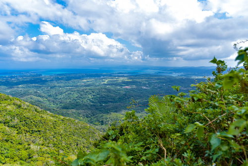 登山中の嘉津宇岳から見た沖縄の街並みと海岸線