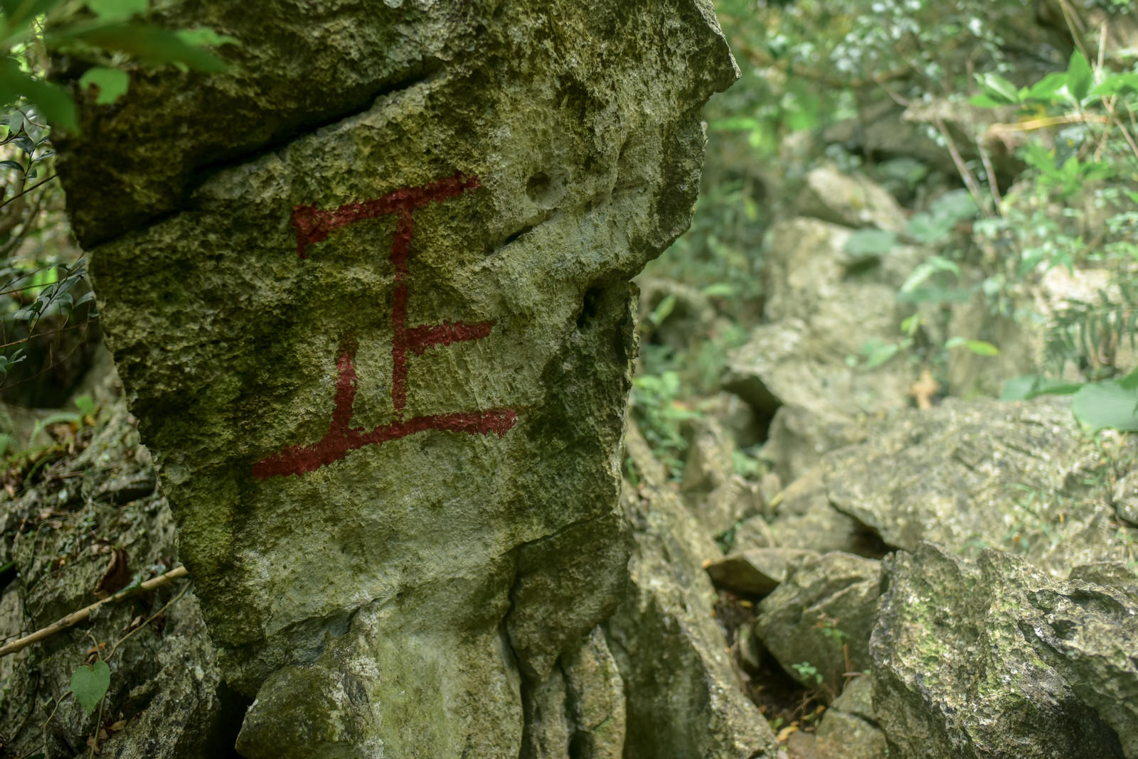 苔に覆われた岩壁に赤いペンキで書かれた「正」の漢字