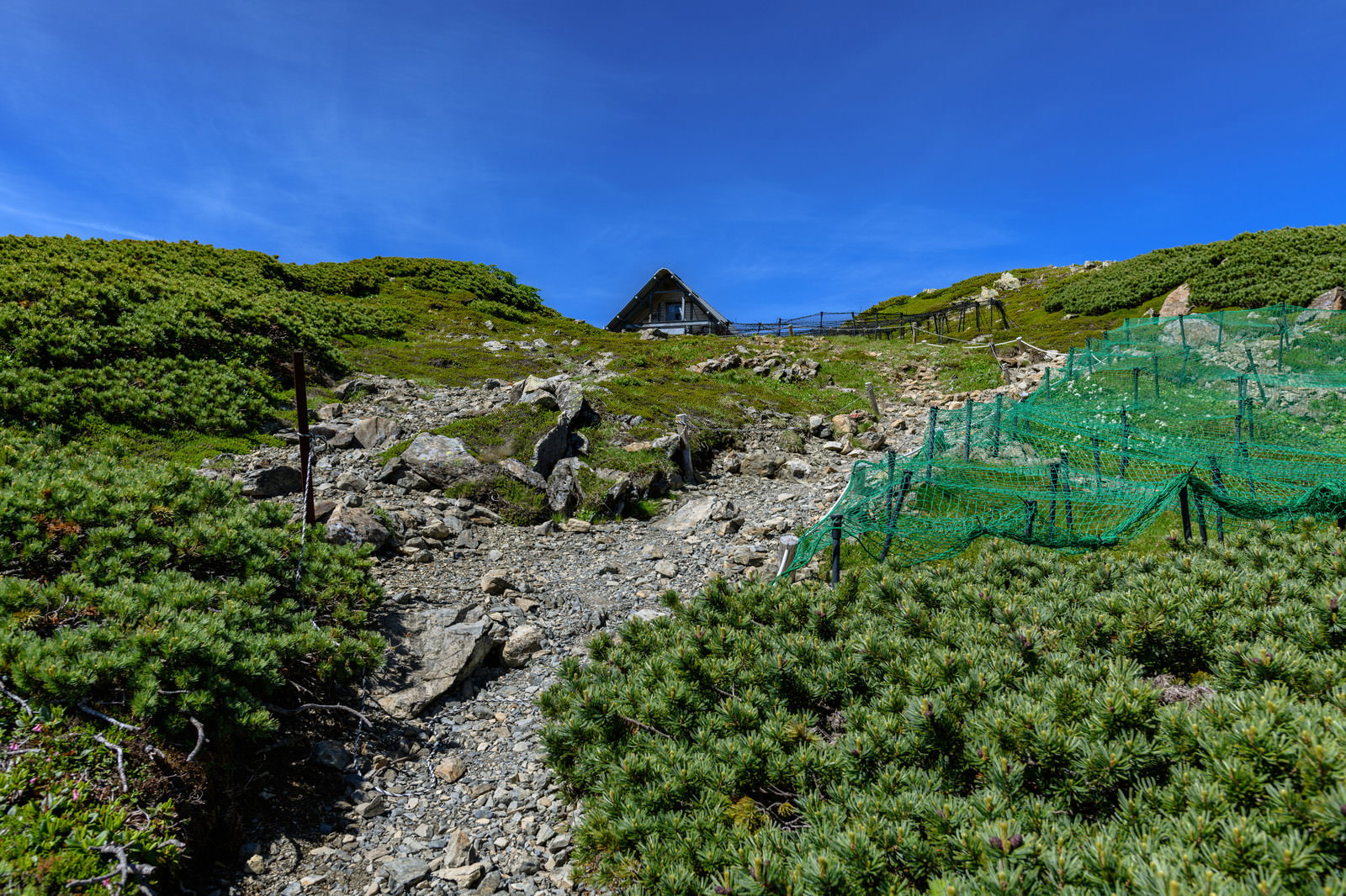青空の下、ハイマツが茂る南アルプスの中岳避難小屋までの登山道
