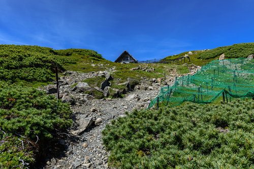中岳避難小屋までの登山道、ハイマツが茂る南アルプスの山肌