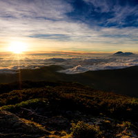 朝日に照らされる雲海と千枚岳（南アルプス）の山頂風景の写真