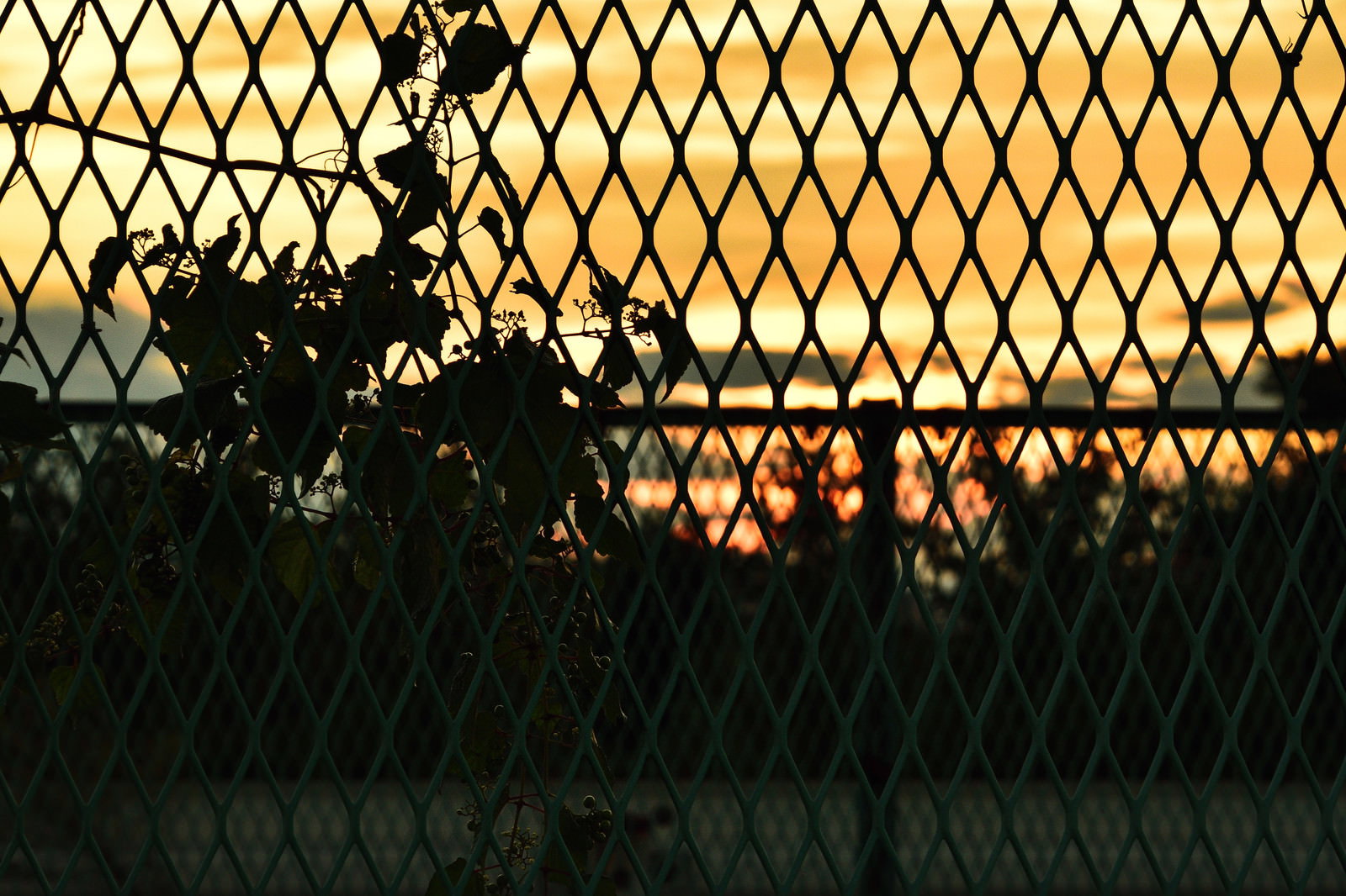 金網のフェンス越しに見える夕焼けのシルエット写真