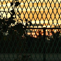 金網フェンス越しに見る夕焼けのシルエット風景の写真