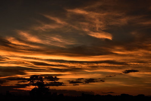 見沼の上空を染める燃えるような夕焼けの空