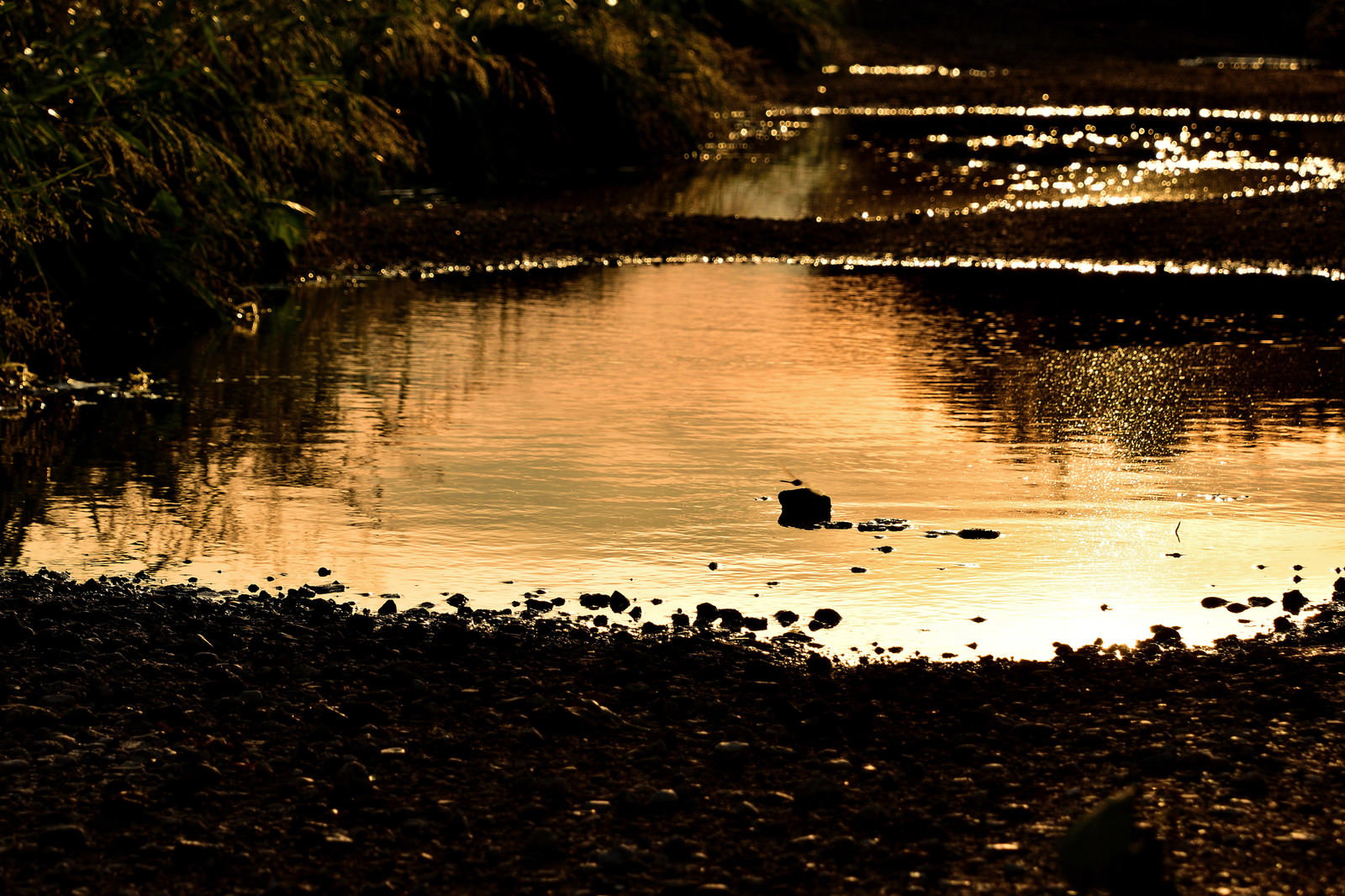 夕焼けの空が映り込んだ大きな水たまりの夕景