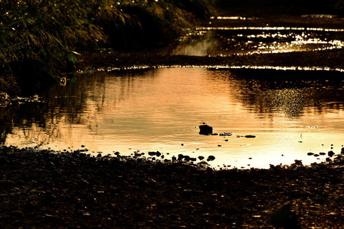 夕暮れに染まる大きな水たまりの夕景と空の反射