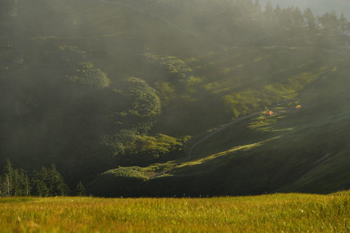 霧とガスに包まれた草原の草紅葉と夕日に伸びる影